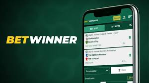 Bets with BetWinner Cameroon Your Guide to Online Betting